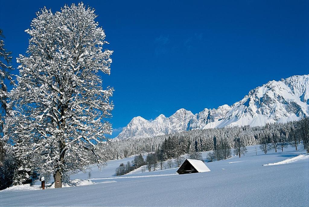 Hotel Jagdhof Ramsau am Dachstein Exterior photo